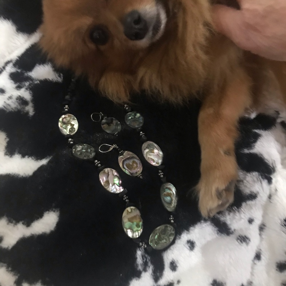 Abalone Shell Reversible Necklace And Earrings - image 8